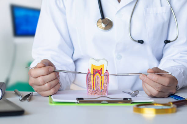 Best Emergency Dental Extractions in The Colony, TX